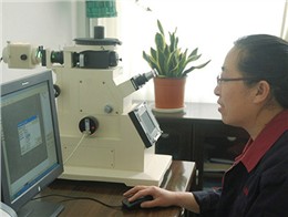 kaiyun开云官方网页版
技术中心金相分析系统